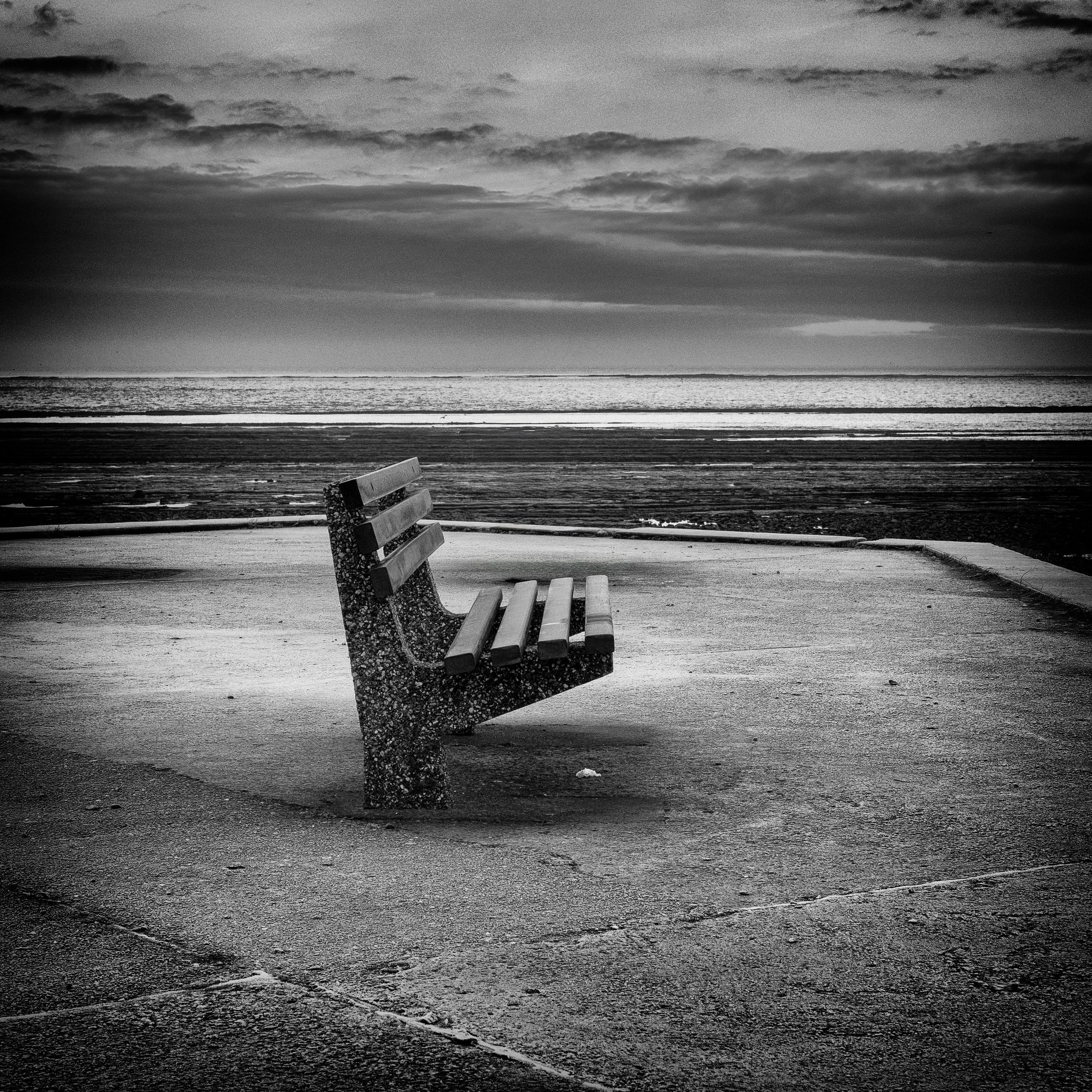 P1120062-Edit bw.jpg