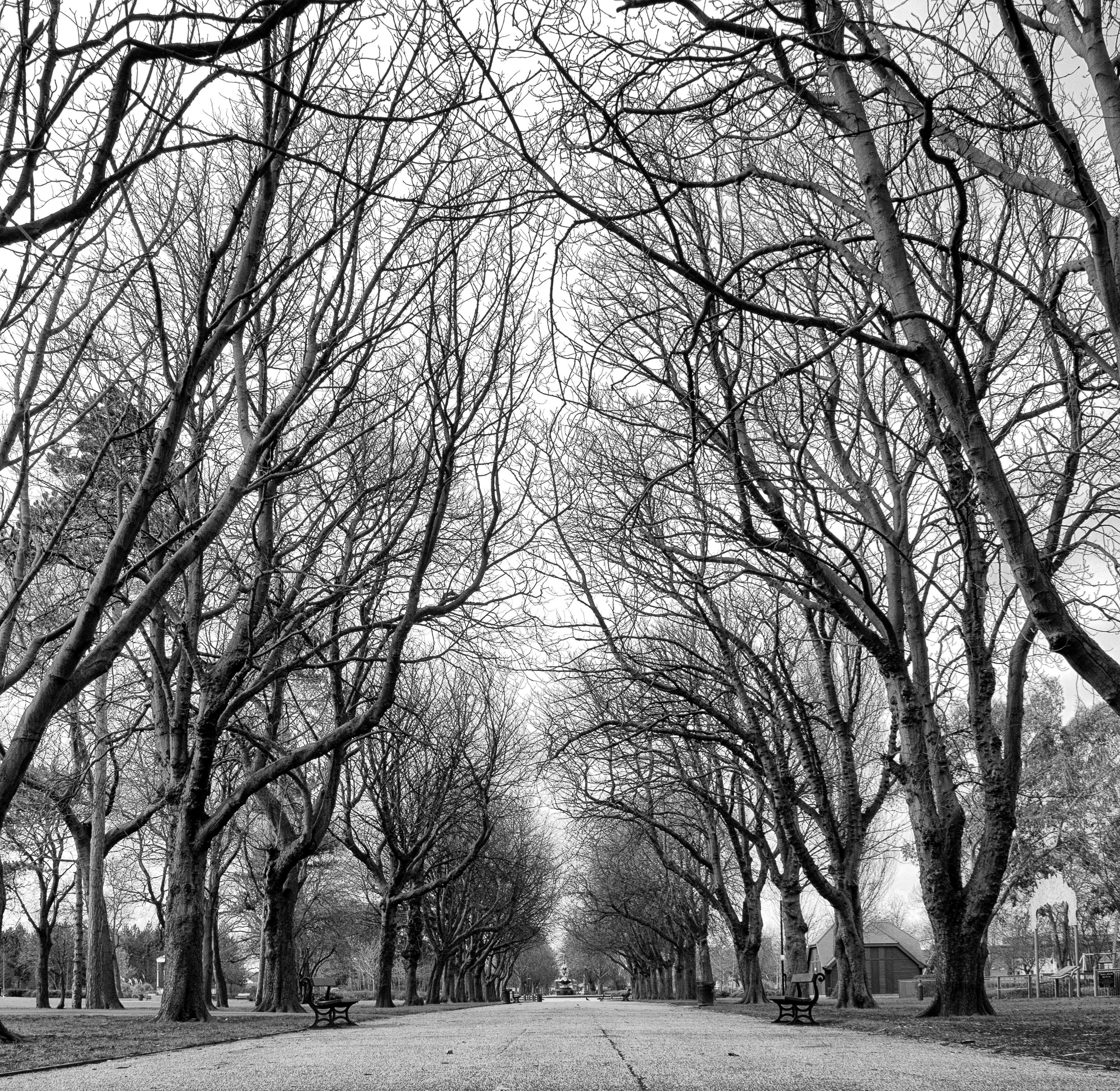 Albert Park Middlesbrough