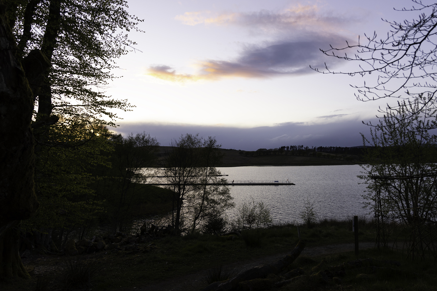 0O4A0159.jpg