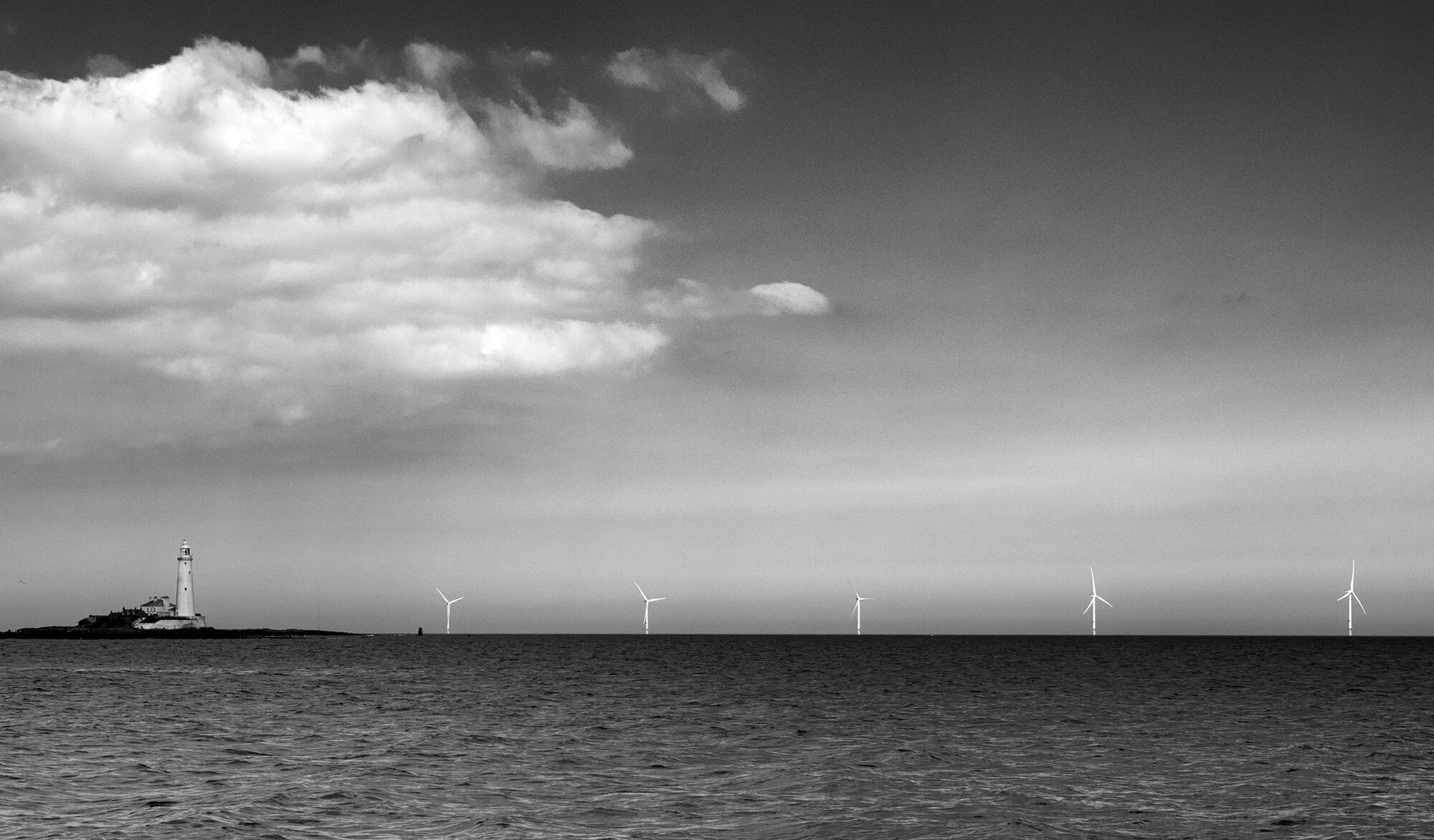 0O4A2253 bw2.jpg