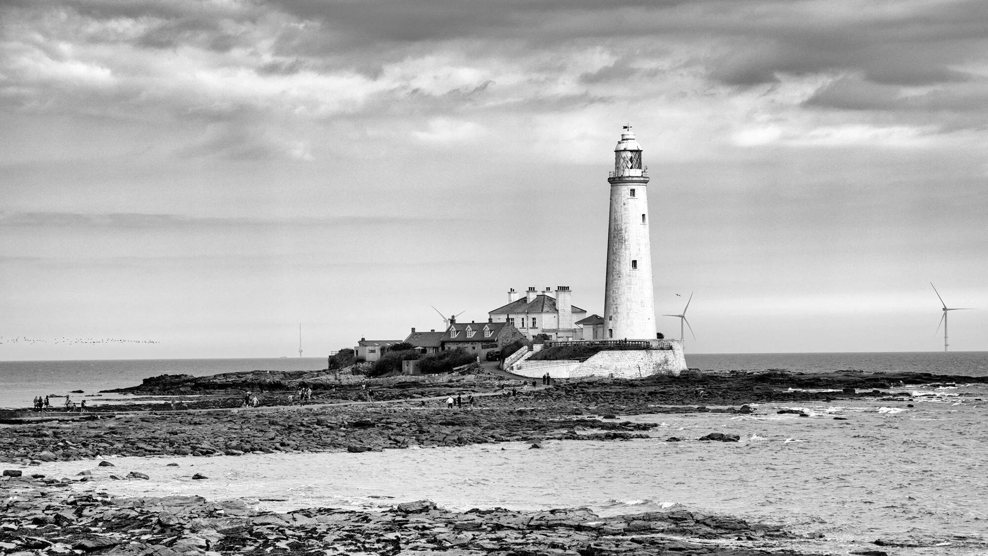 0O4A2270 bw.jpg