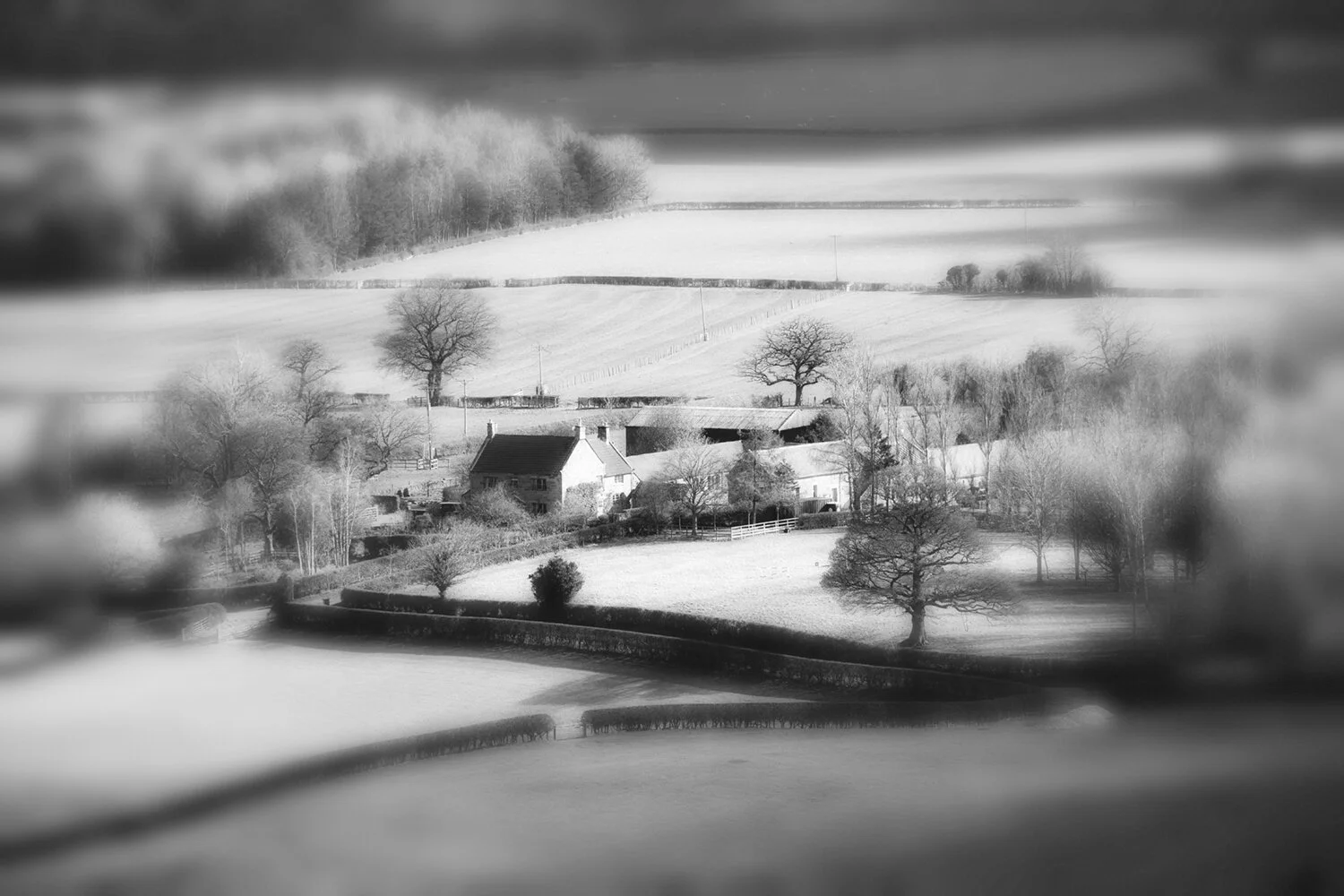0O4A2409 bw.jpg
