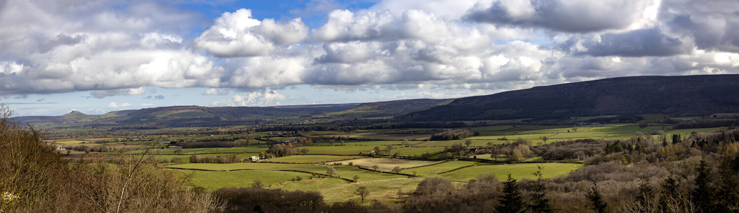 0O4A2420-Pano.jpg