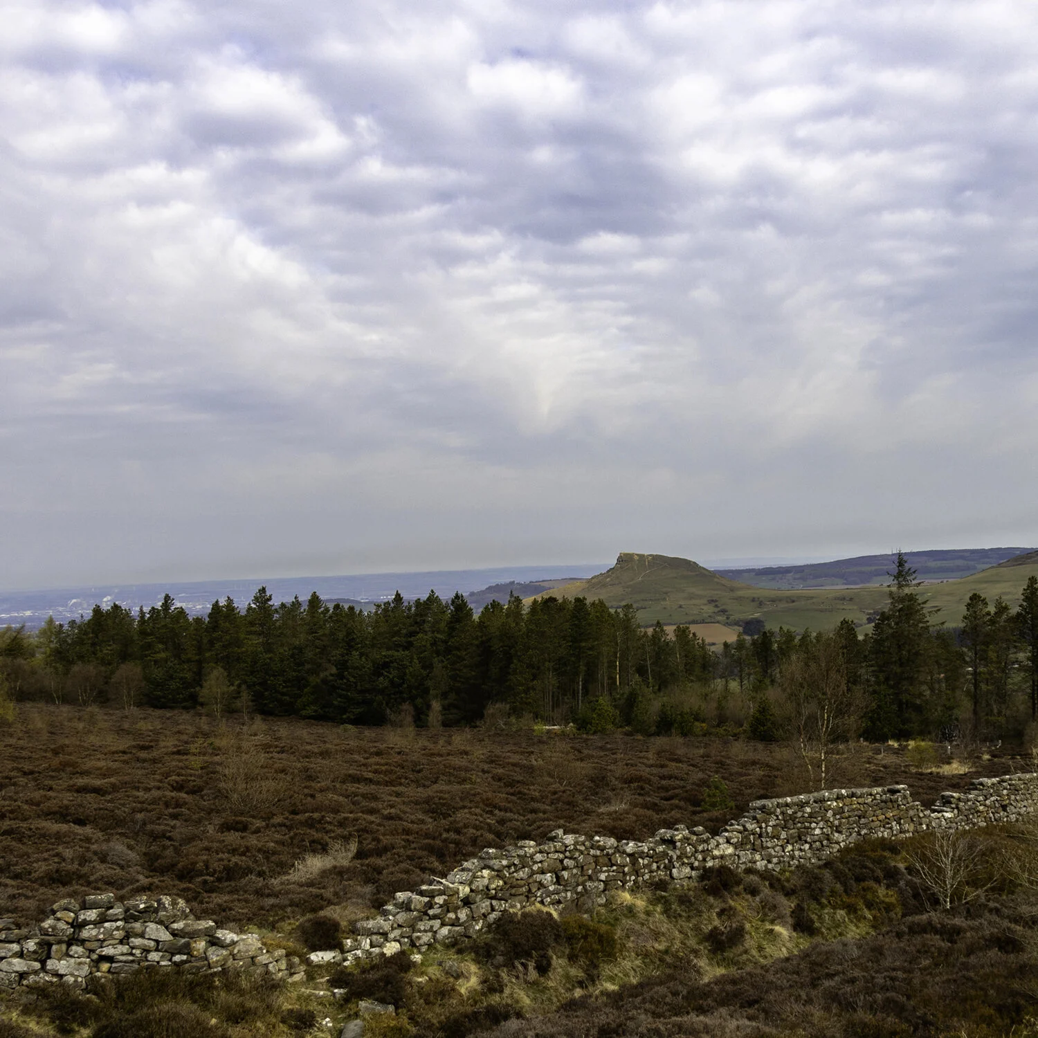 Roseberry Topping from Captain Cook's Monument