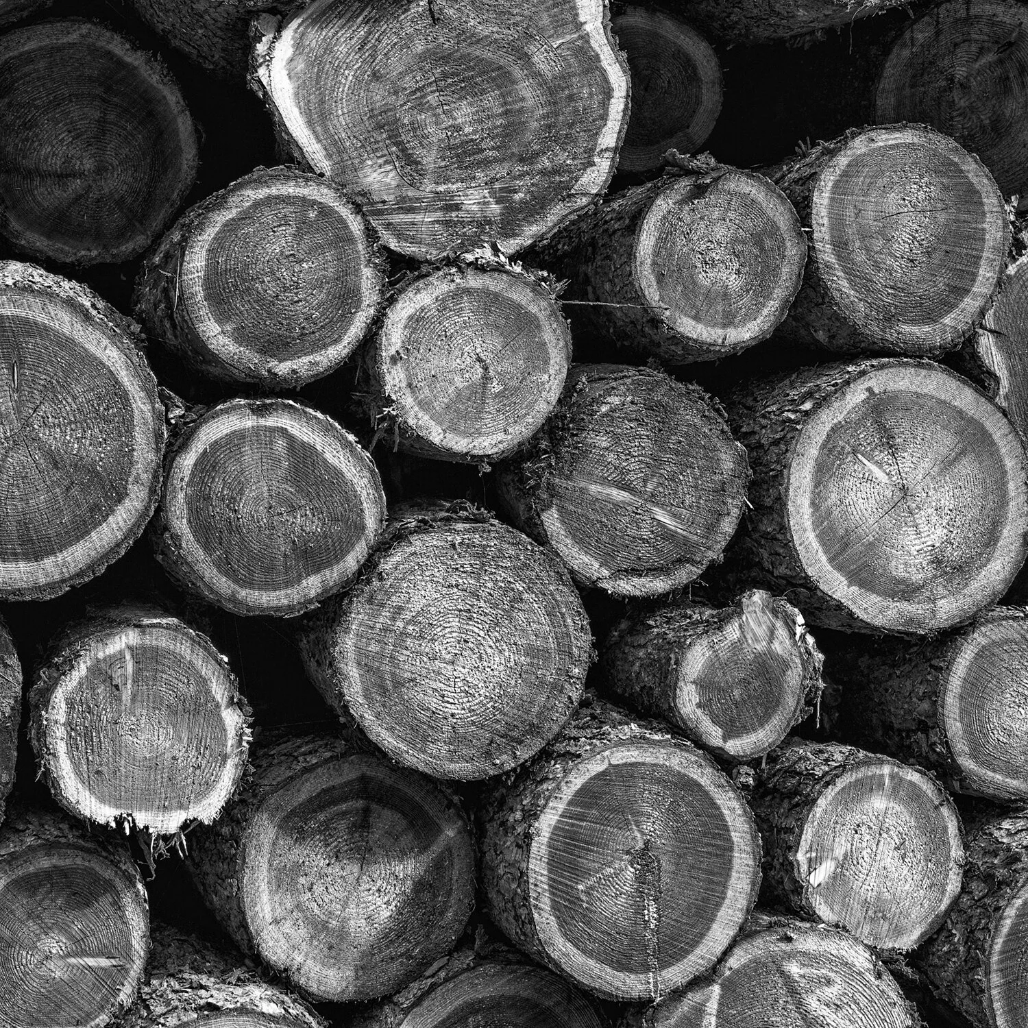 Log Pile