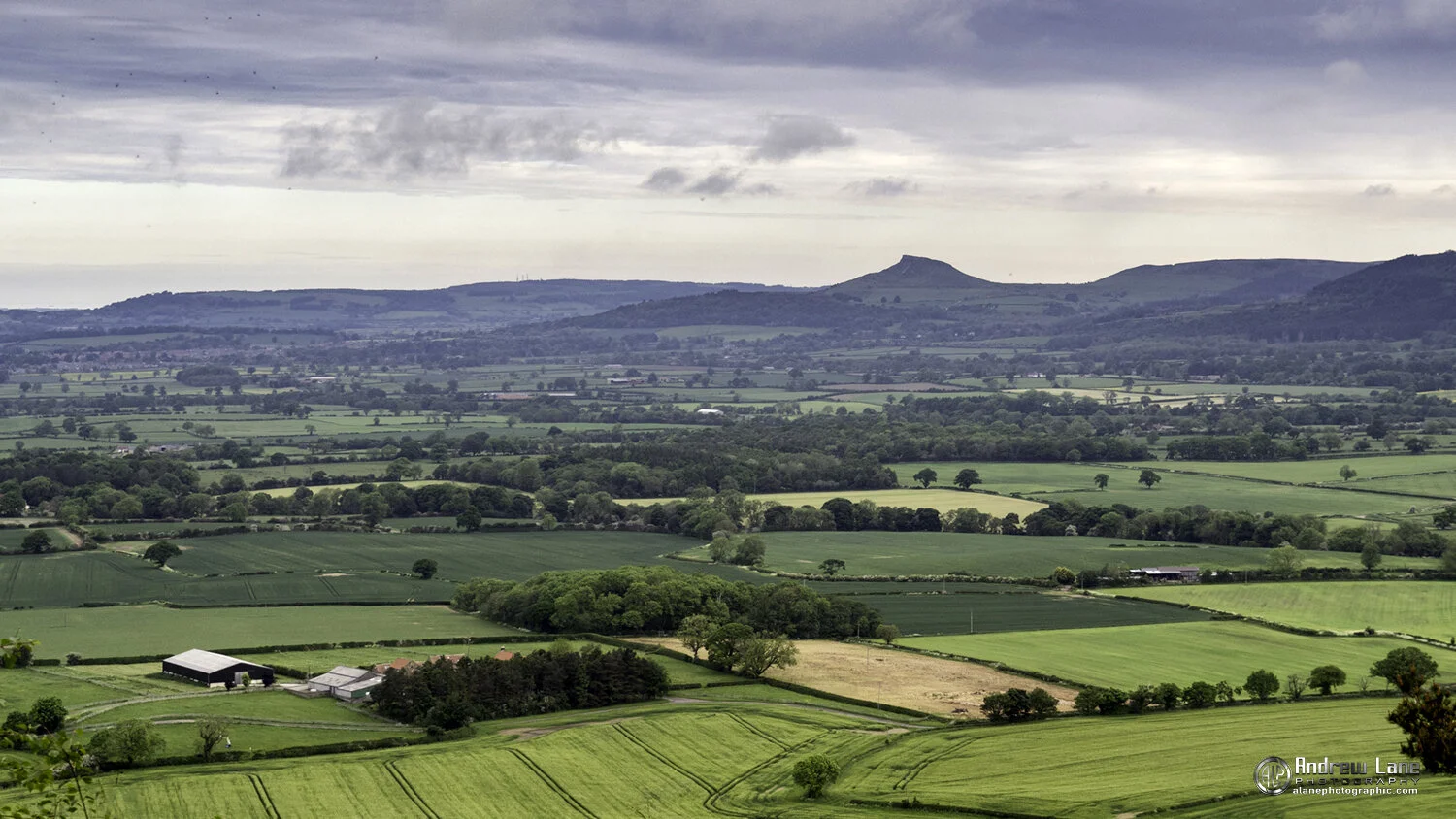 P6060048-Edit copy.jpg