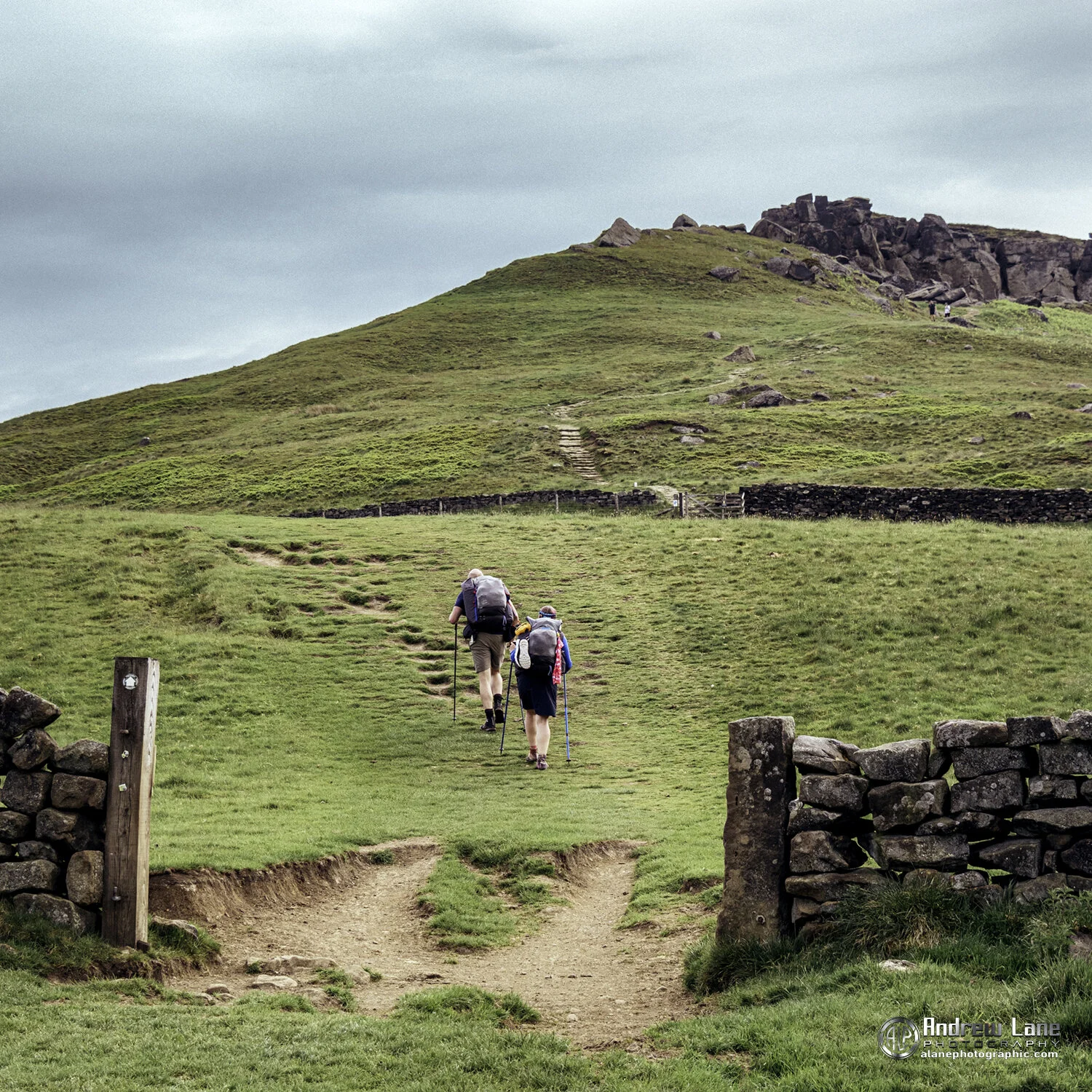 P6060073-Edit copy.jpg