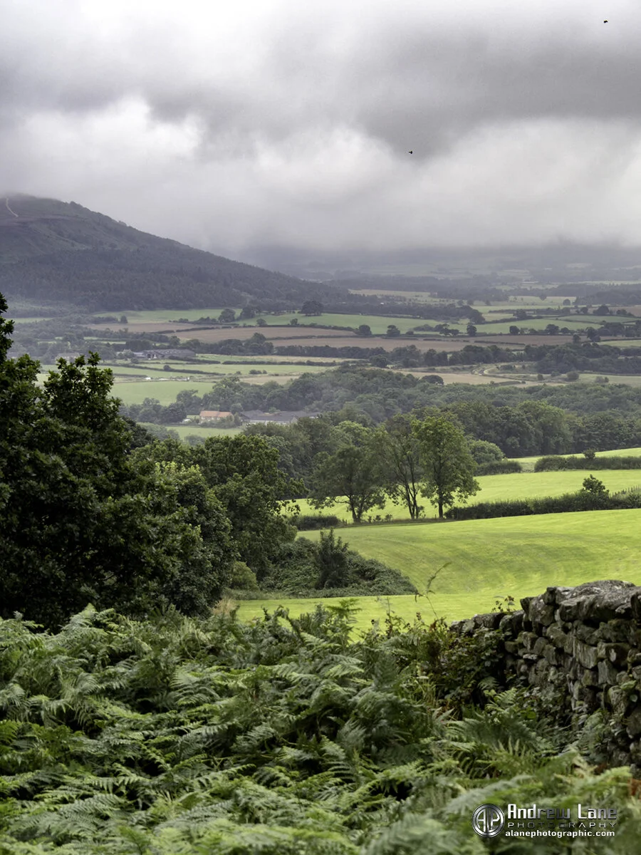 North York Moors in the mist