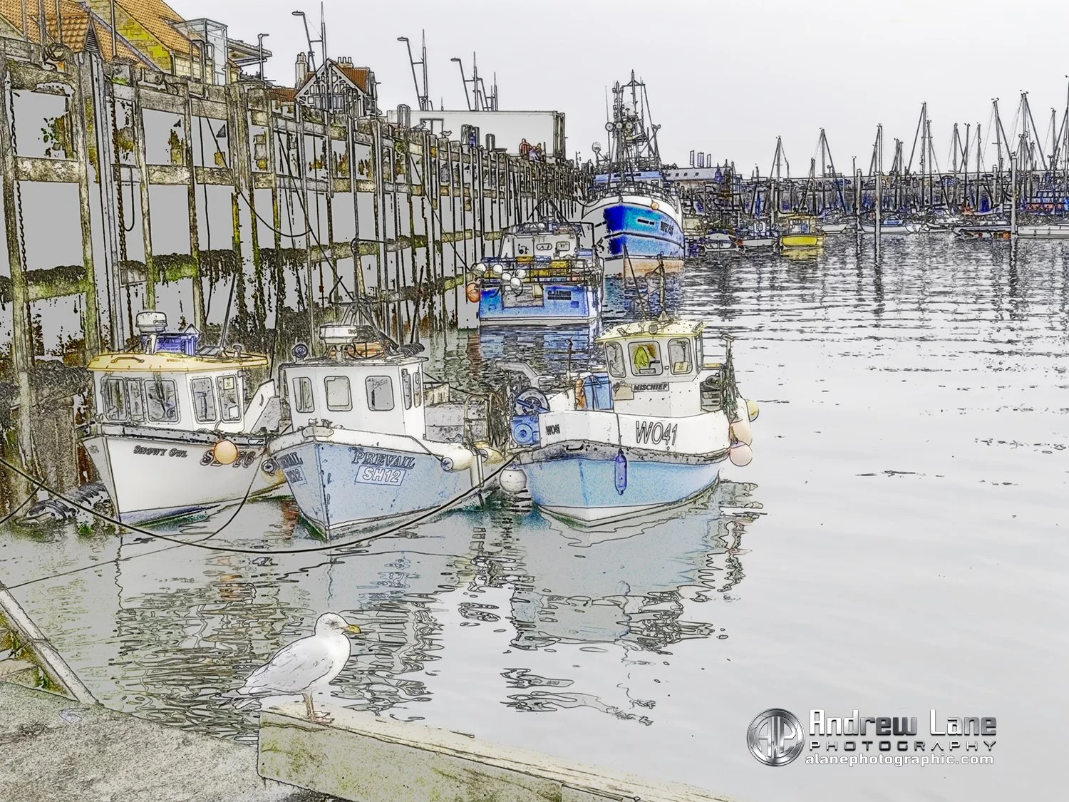 P9060066-Edit copy.jpg