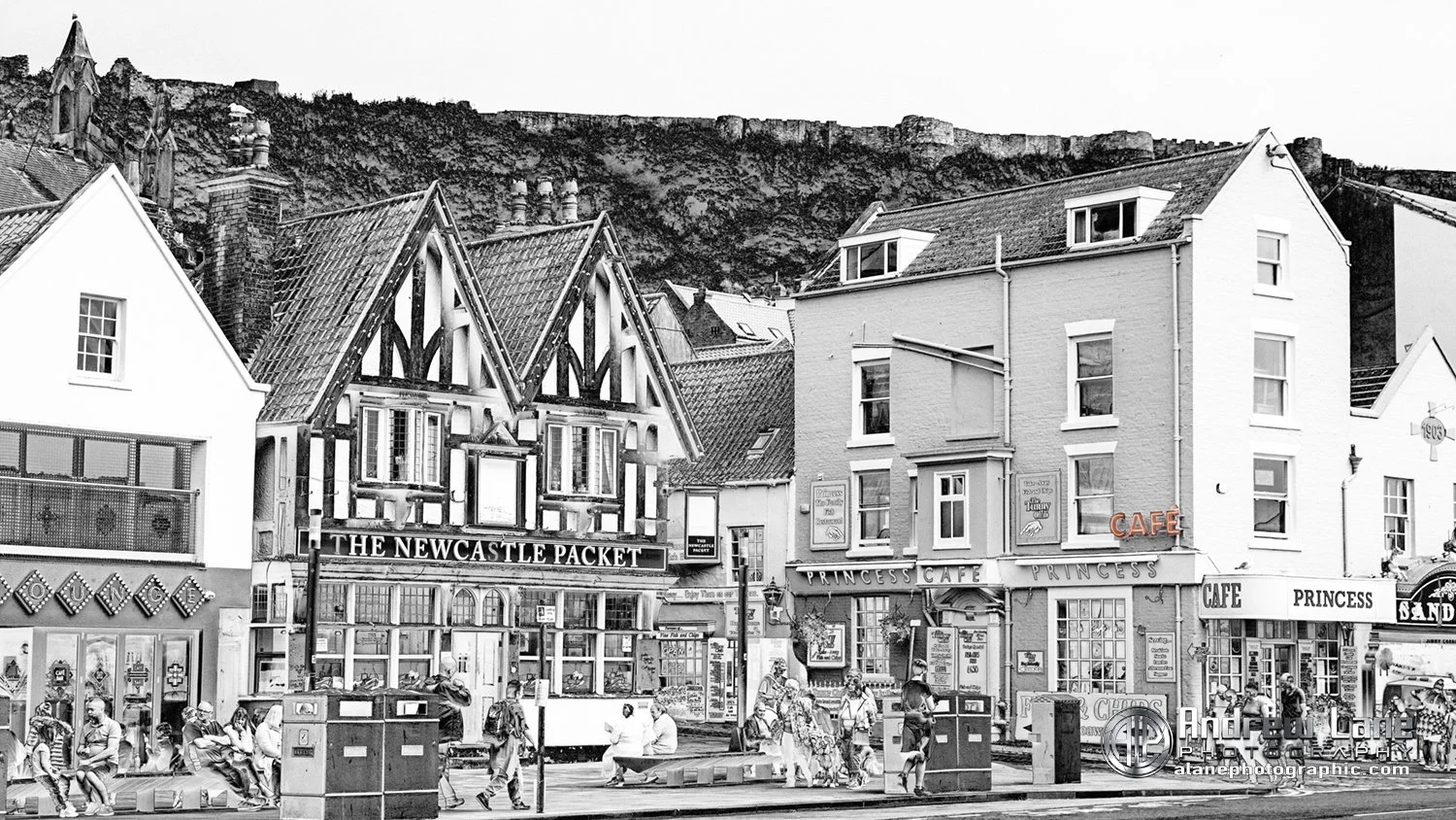 P9060077-Edit copy.jpg