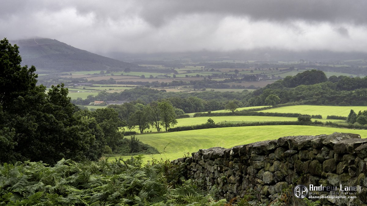 Kildale Valley (Copy)