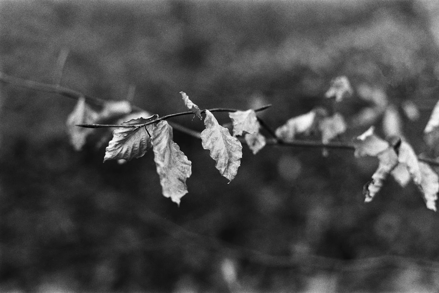 000018-Edit.jpg
