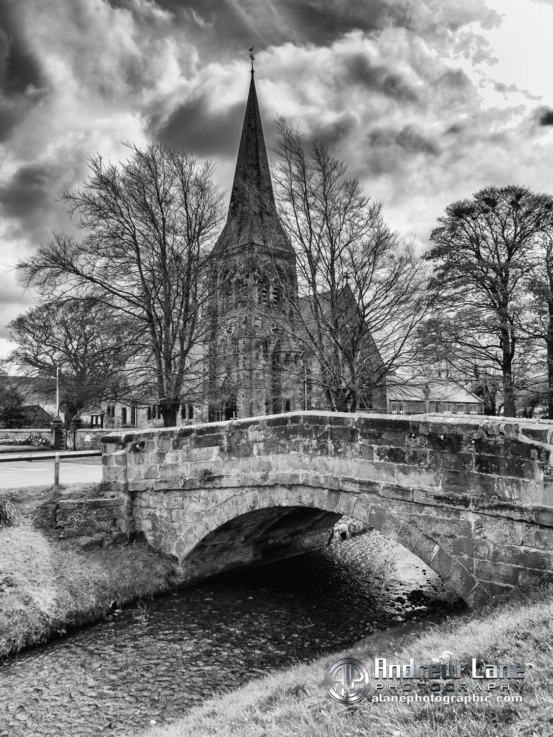 P4180071-Edit bw copy.jpg