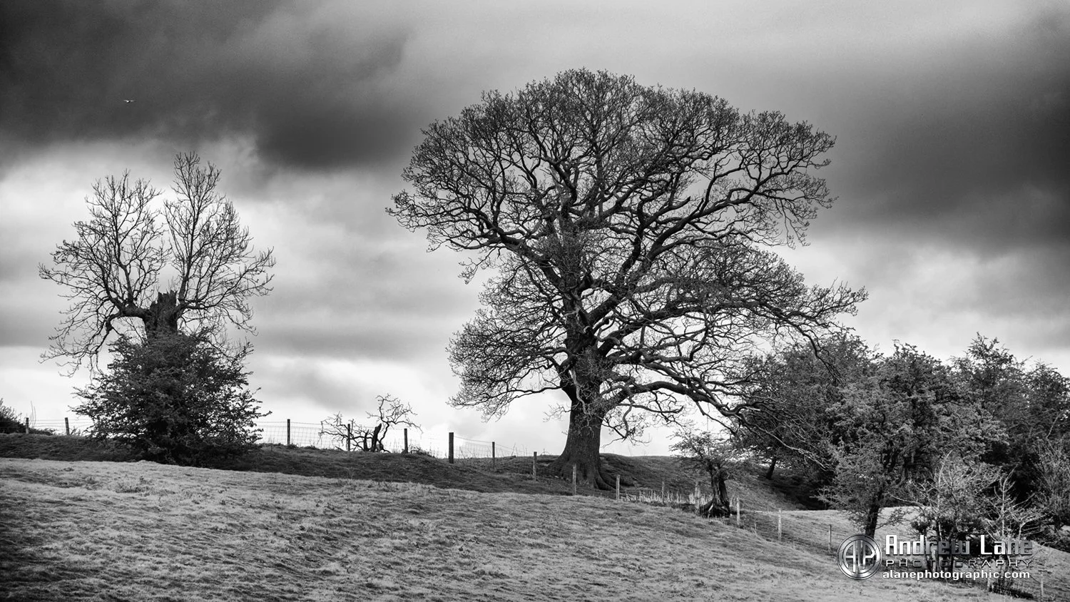P4180075-Edit copy.jpg