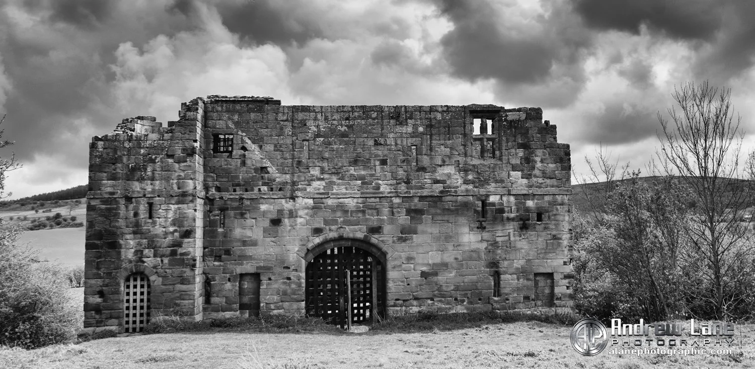 P4180089-Edit bw copy.jpg
