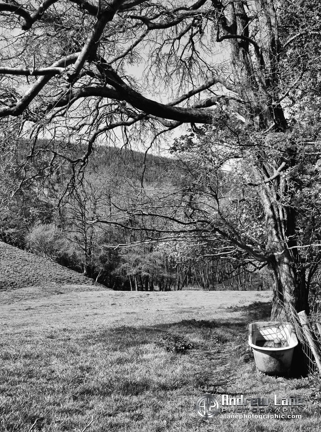P4290061-Edit bw copy.jpg