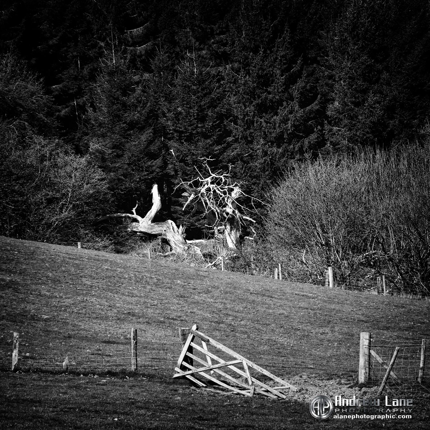 P4290057-Edit copy.jpg
