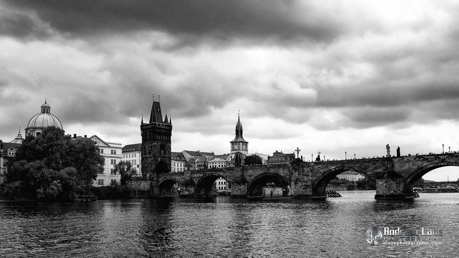 P6040124-Edit bw copy.jpg