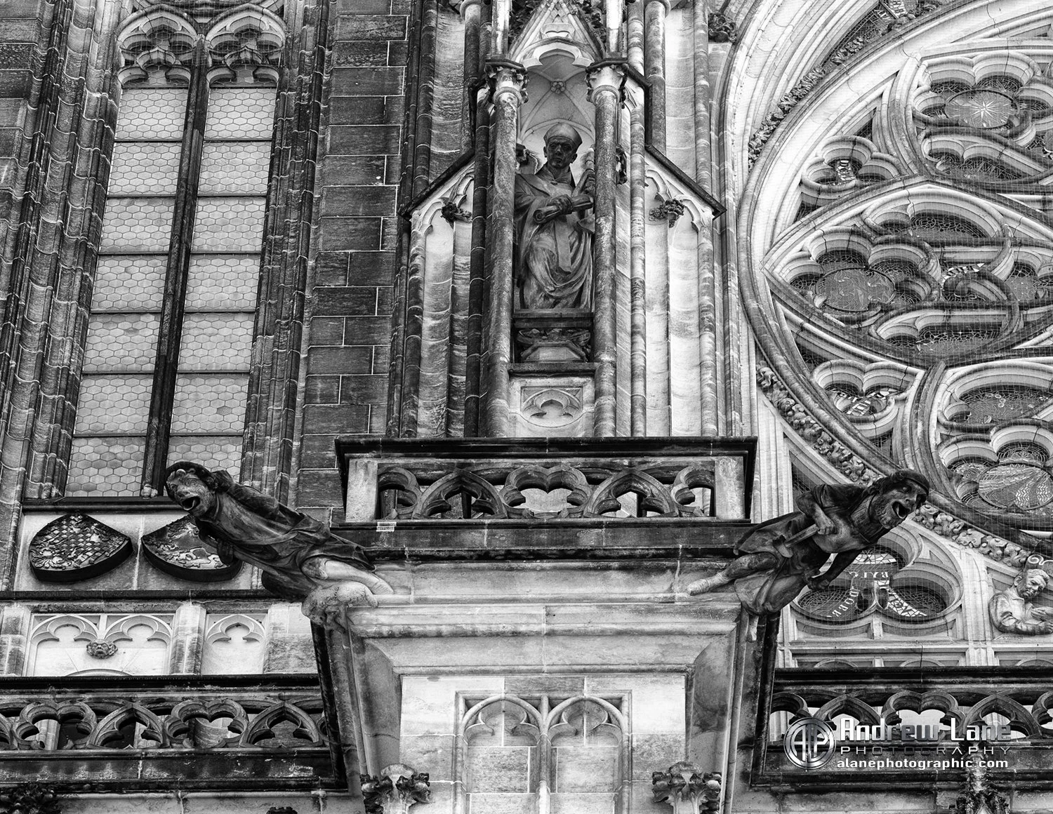 P6050162-Edit copy.jpg