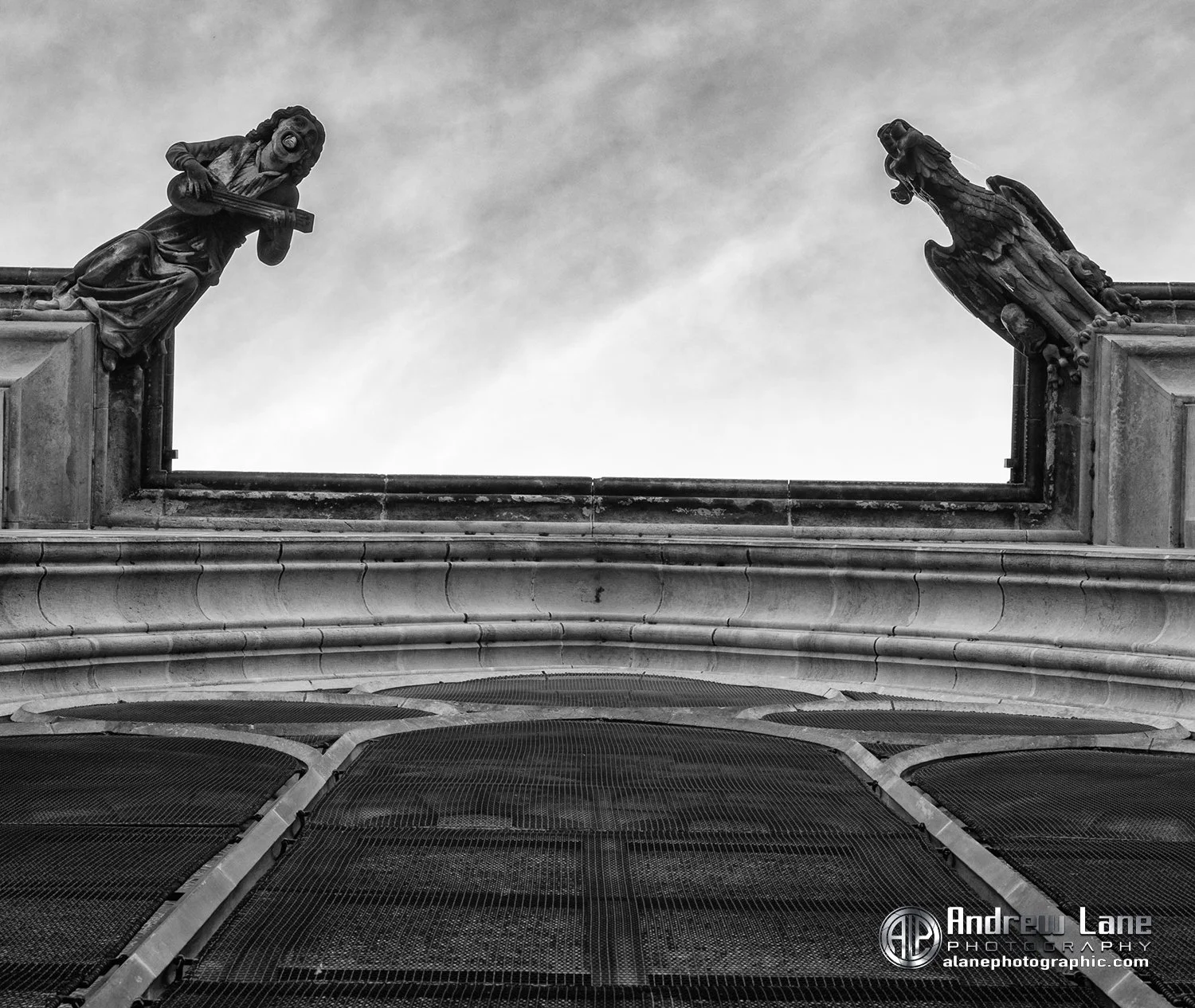 P6050167-Edit copy.jpg