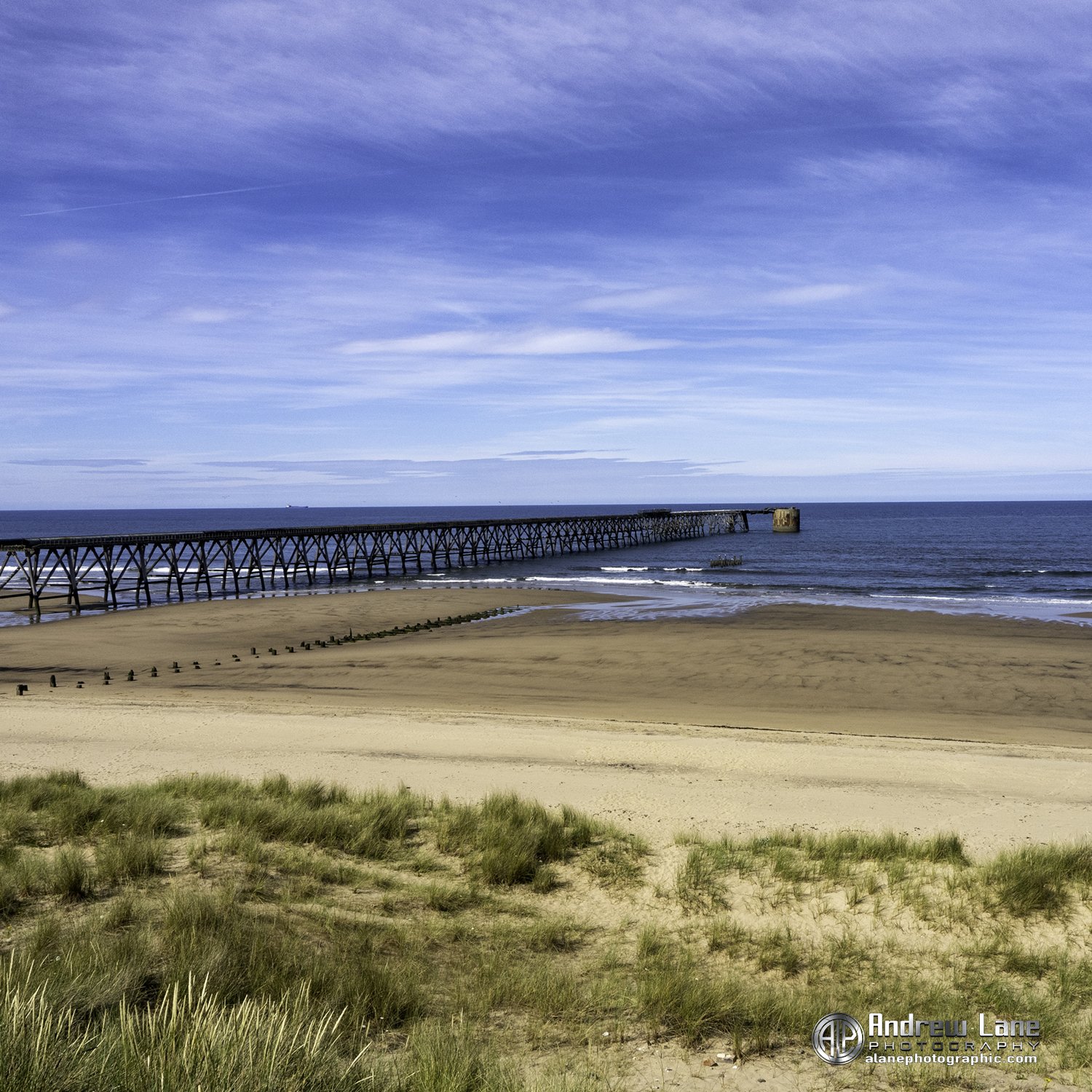 P7090207-Edit copy.jpg