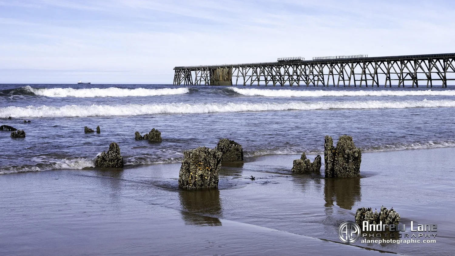 P7090246-Edit copy.jpg