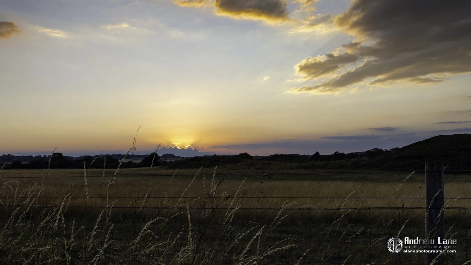 P1010009-Edit copy.jpg