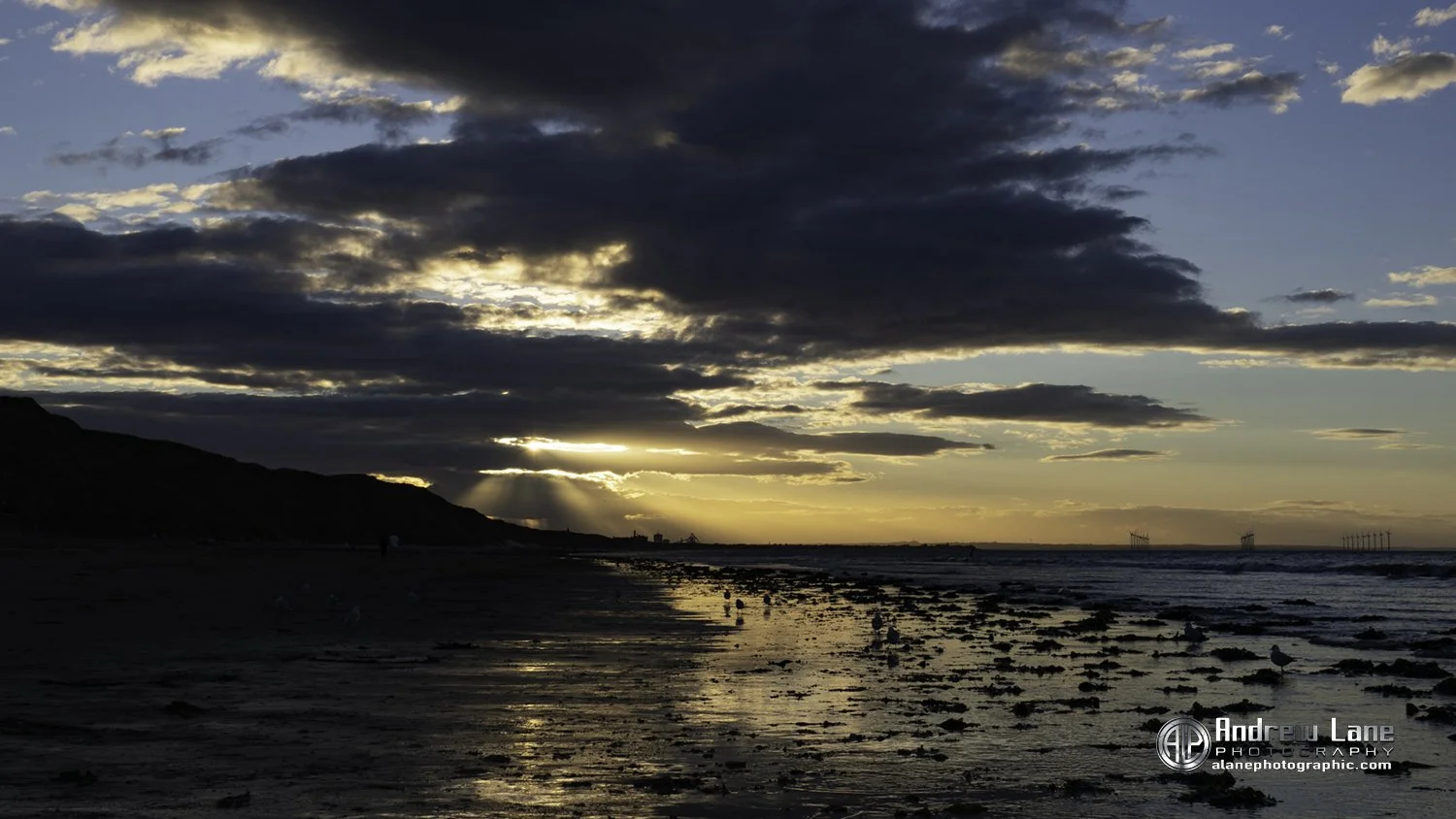 P8190076-Edit copy 2.jpg