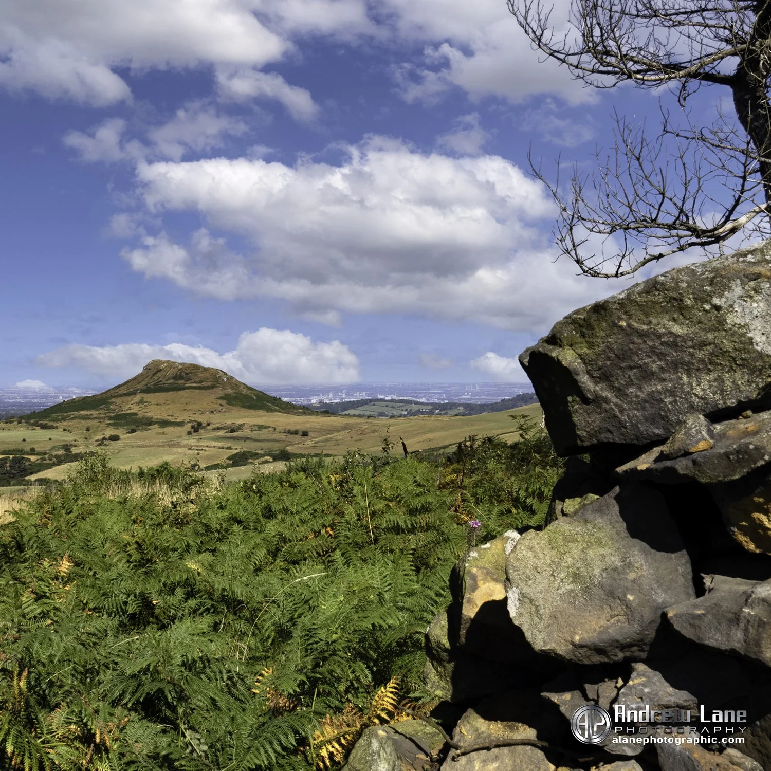 P8210284-HDR-Edit copy.jpg