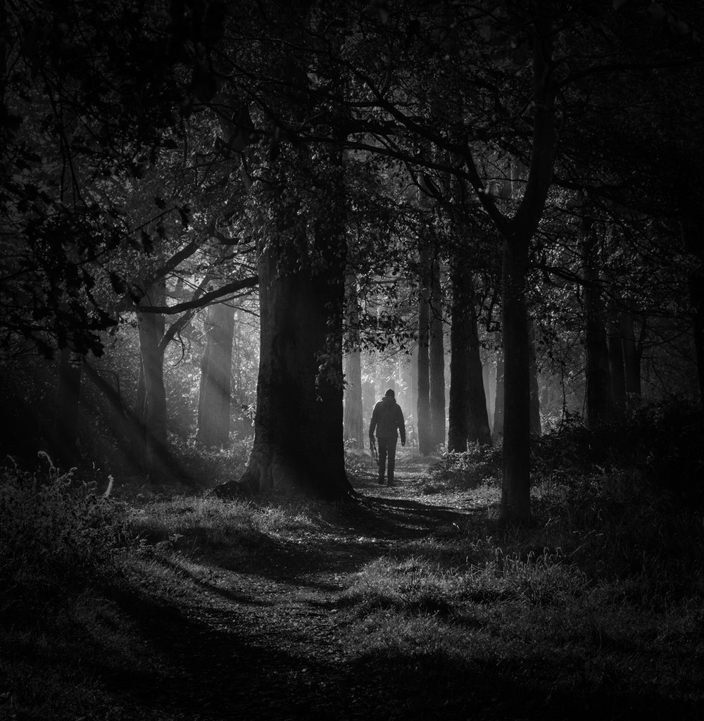  Stranger in the woods - Avenue of Trees Acklam 
