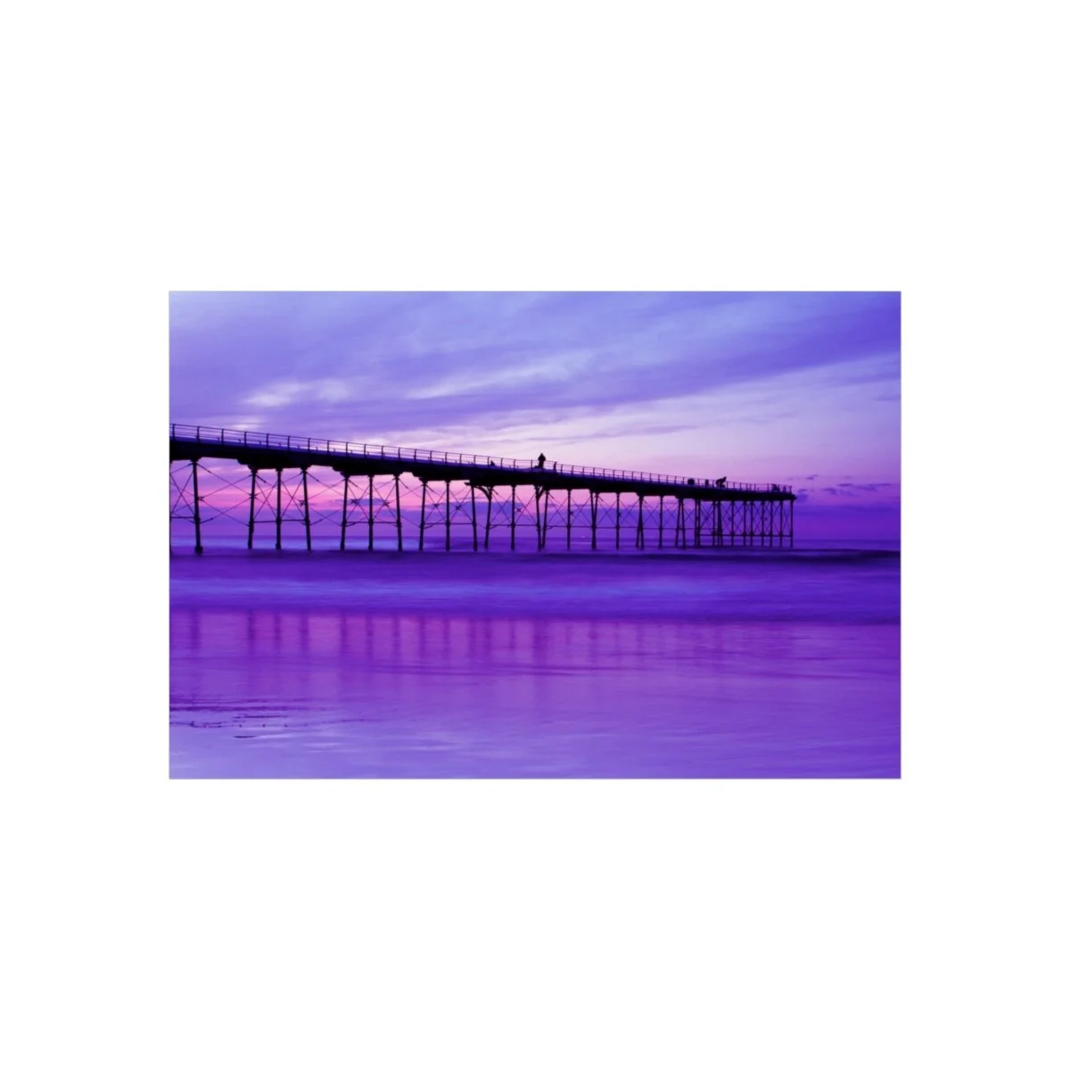 Fine Art Poster, featuring Saltburn pier