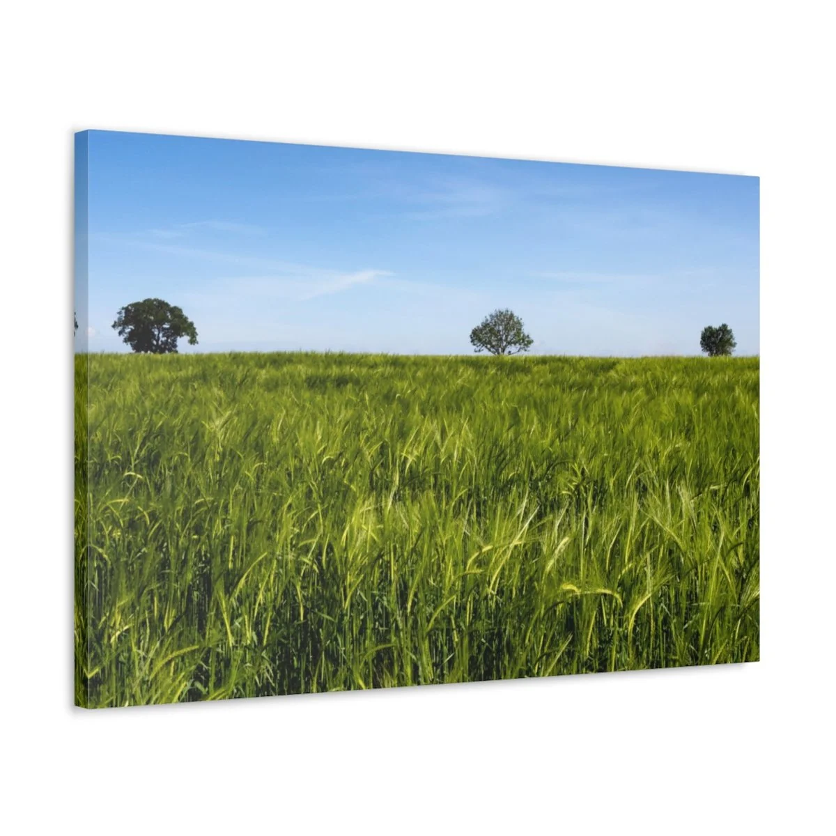 Beauty of Nature with This Stunning Fine Art Canvas