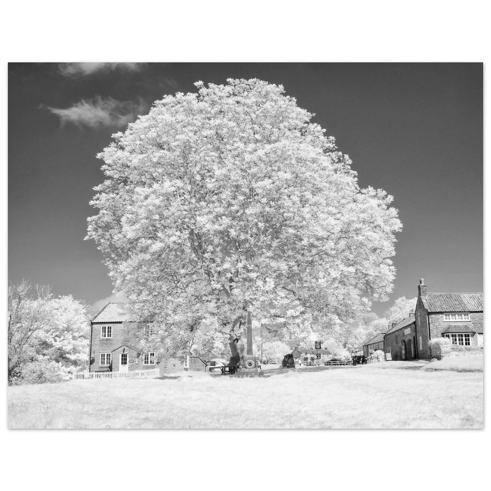 Black & White Infrared Photo – Hutton-le-Hole Village Green Art Print