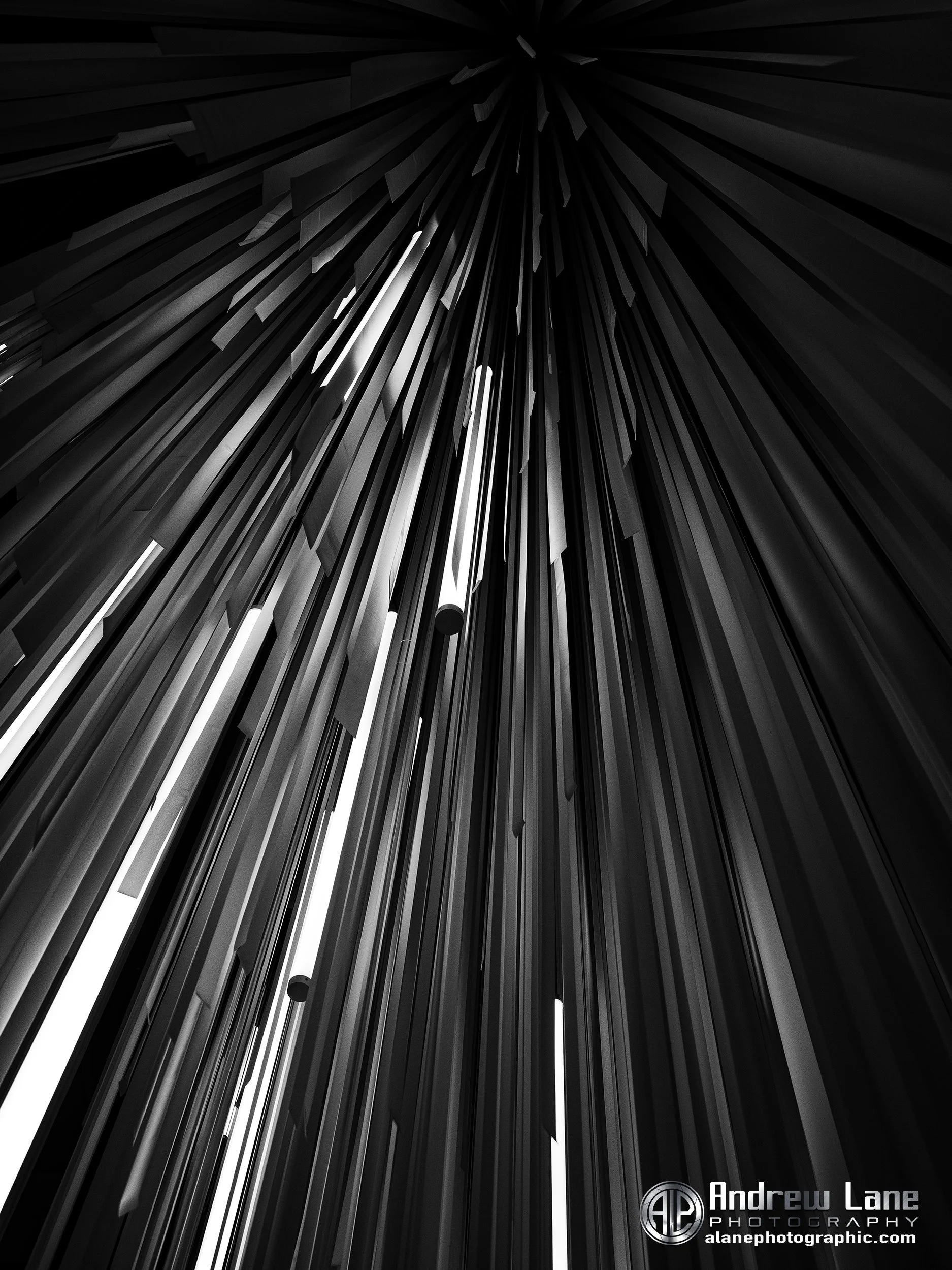 P3271222-Edit copy 2.jpg