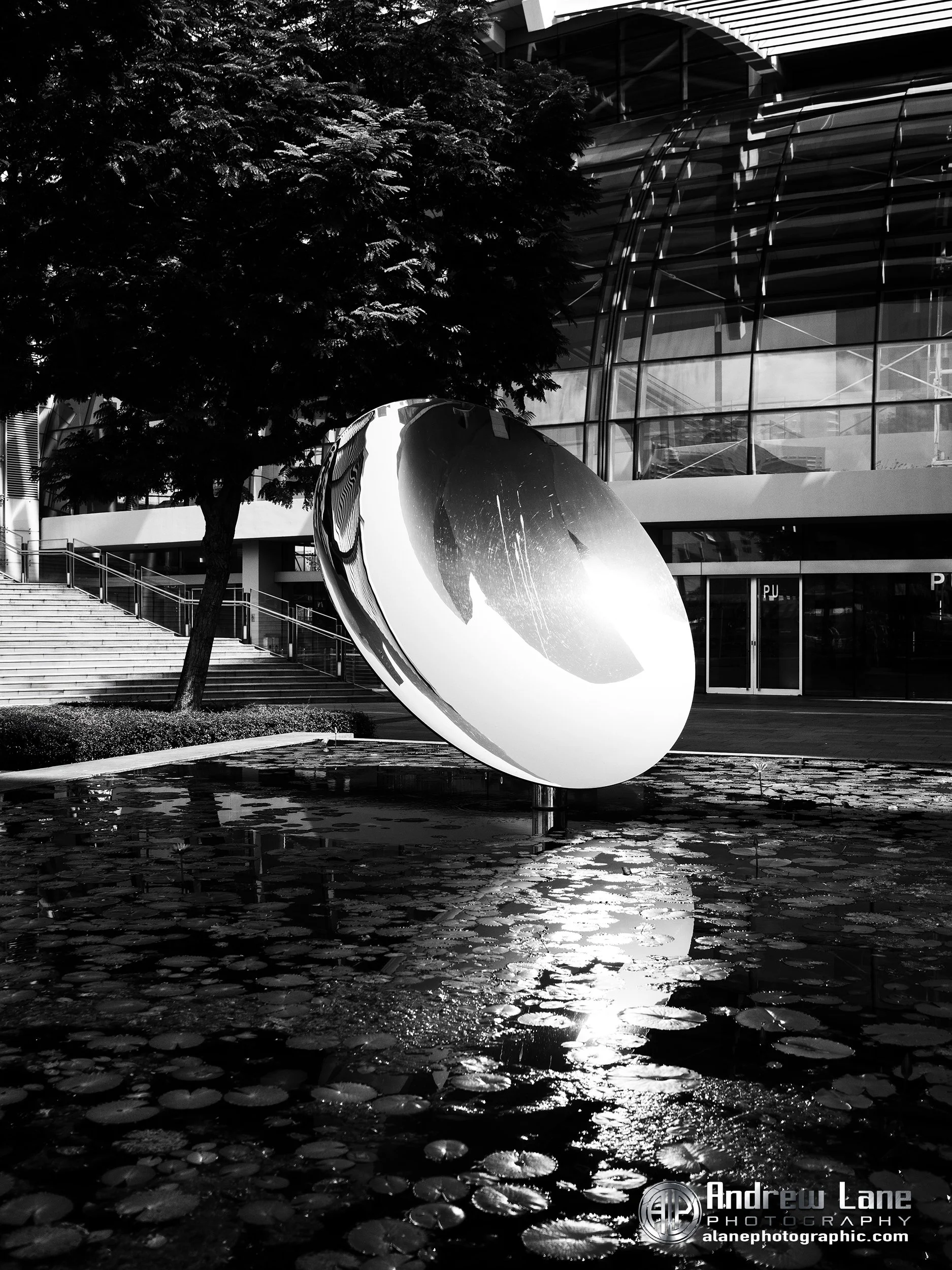 P3271305-Edit copy.jpg