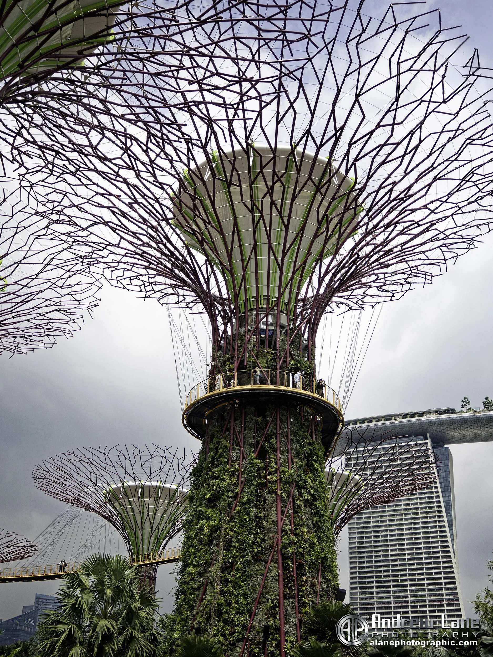 P3271055-Edit copy.jpg