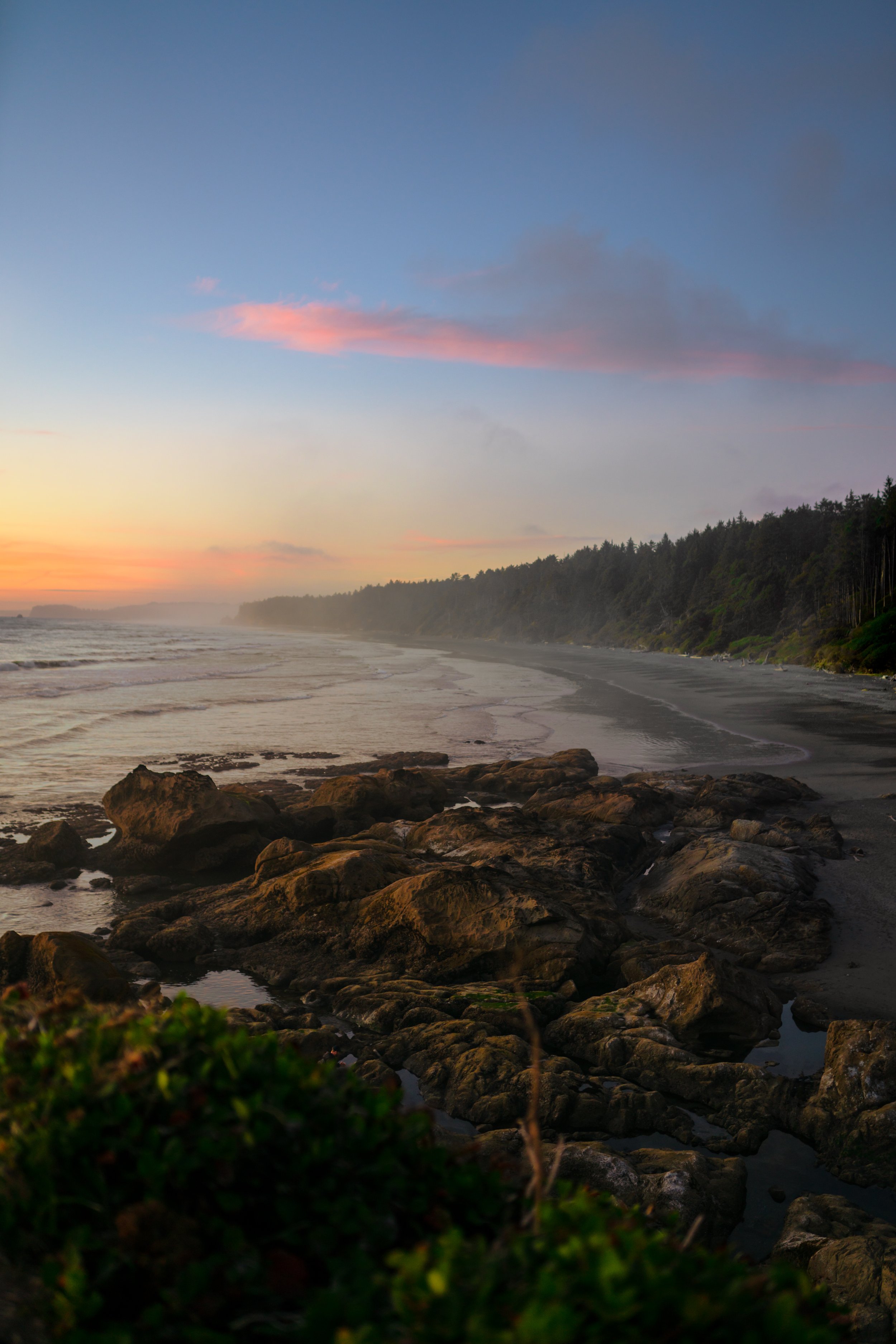 DSC02964-Edit.jpg