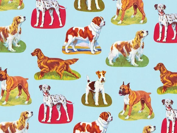 0410-IG-dogs.jpg