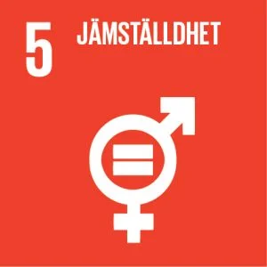 Sustainable-Development-Goals_icons-05-1-300x300.jpg