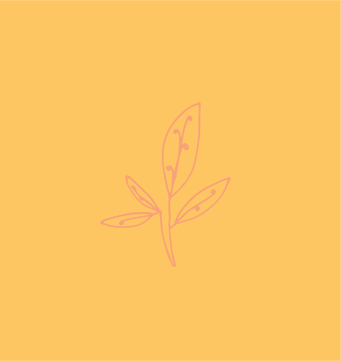 floral illustrations for logo comps