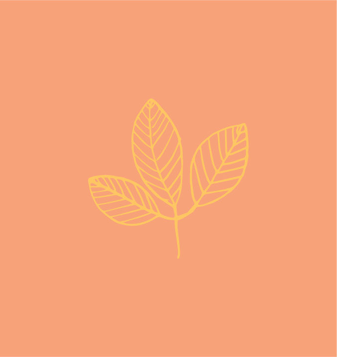 floral illustrations for logo comps