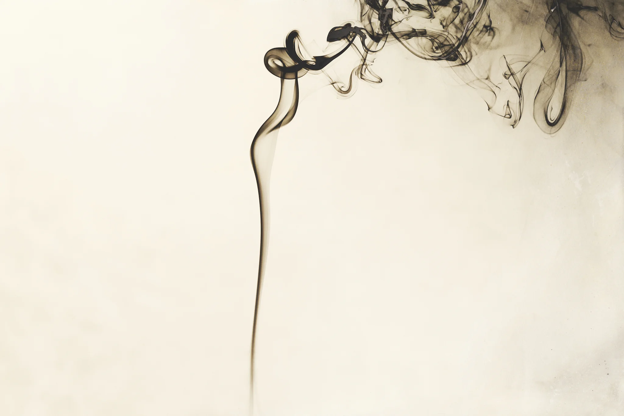 Smoke, 2018 (Signed, Limited Editions Available)