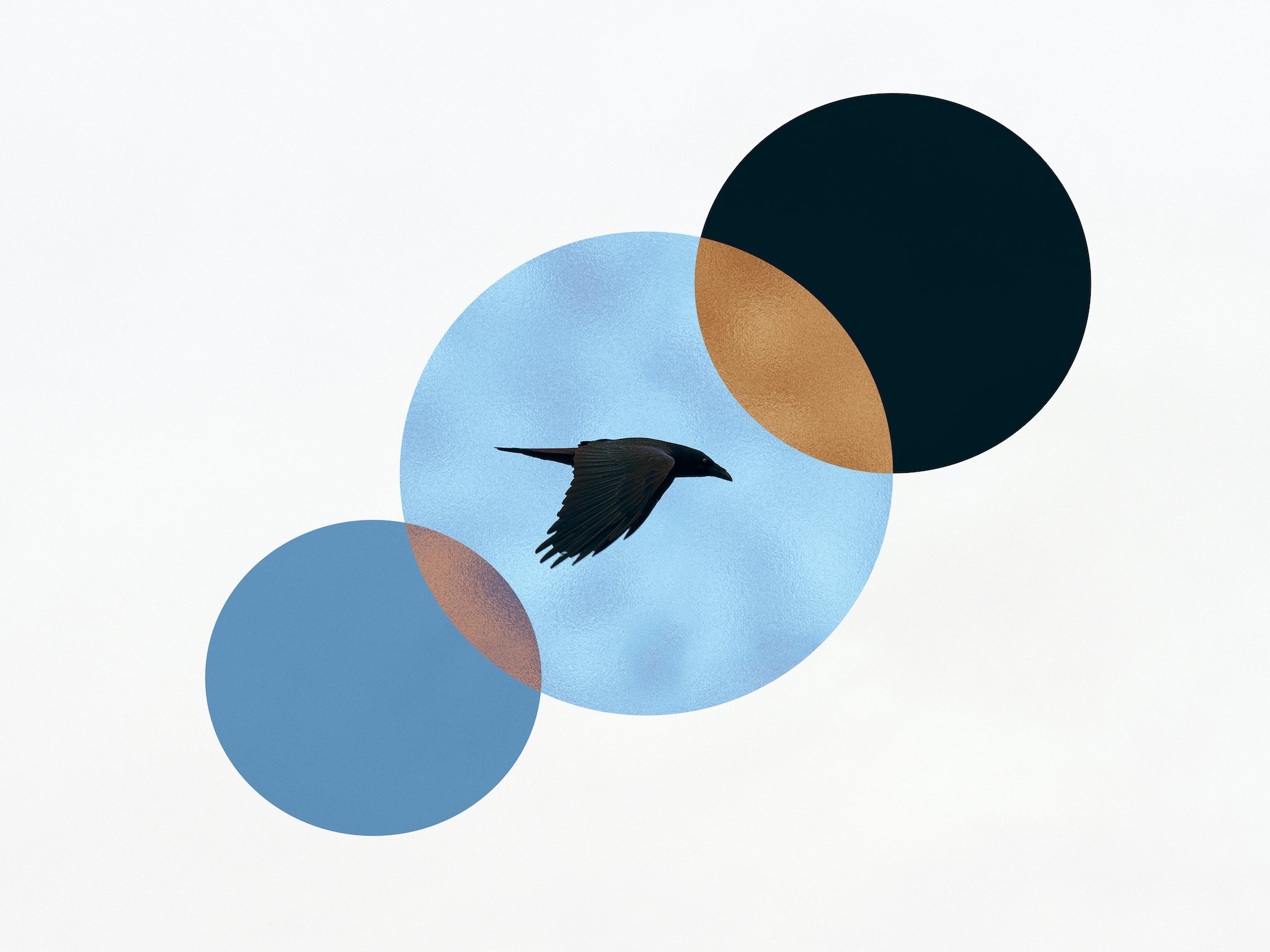 Raven with blue circles.jpg