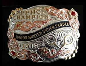 sidebar-buckle.jpg