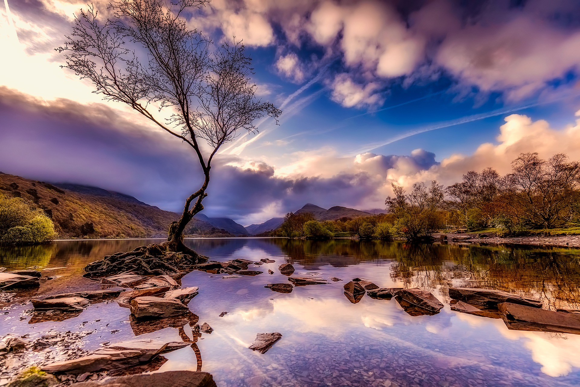wales-2532595_1920.jpg