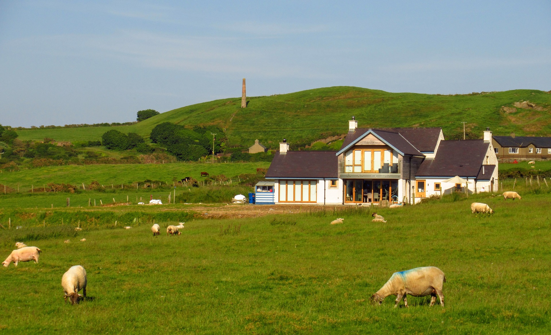 wales-3584381_1920.jpg
