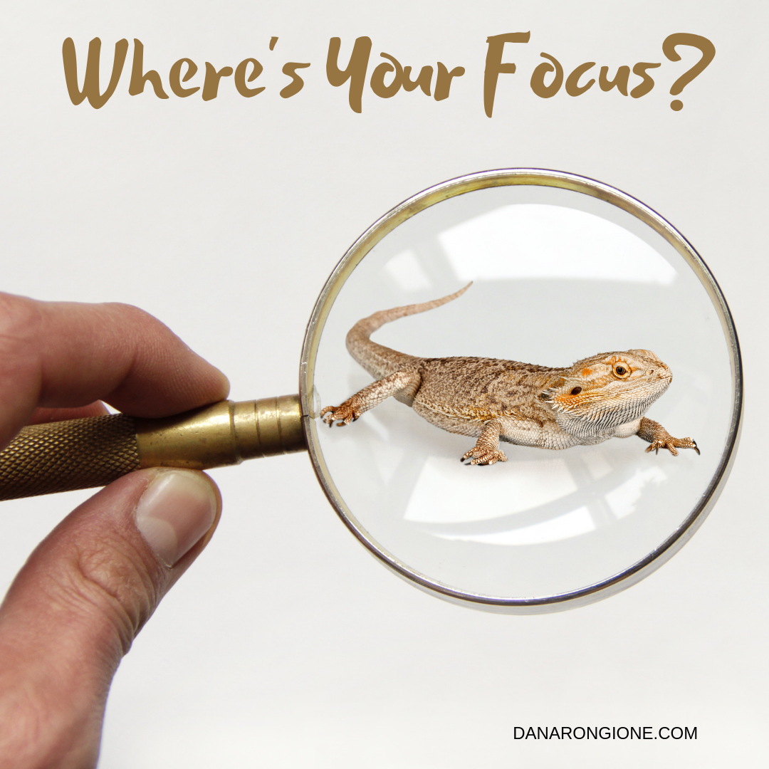 Where's Your Focus?.png