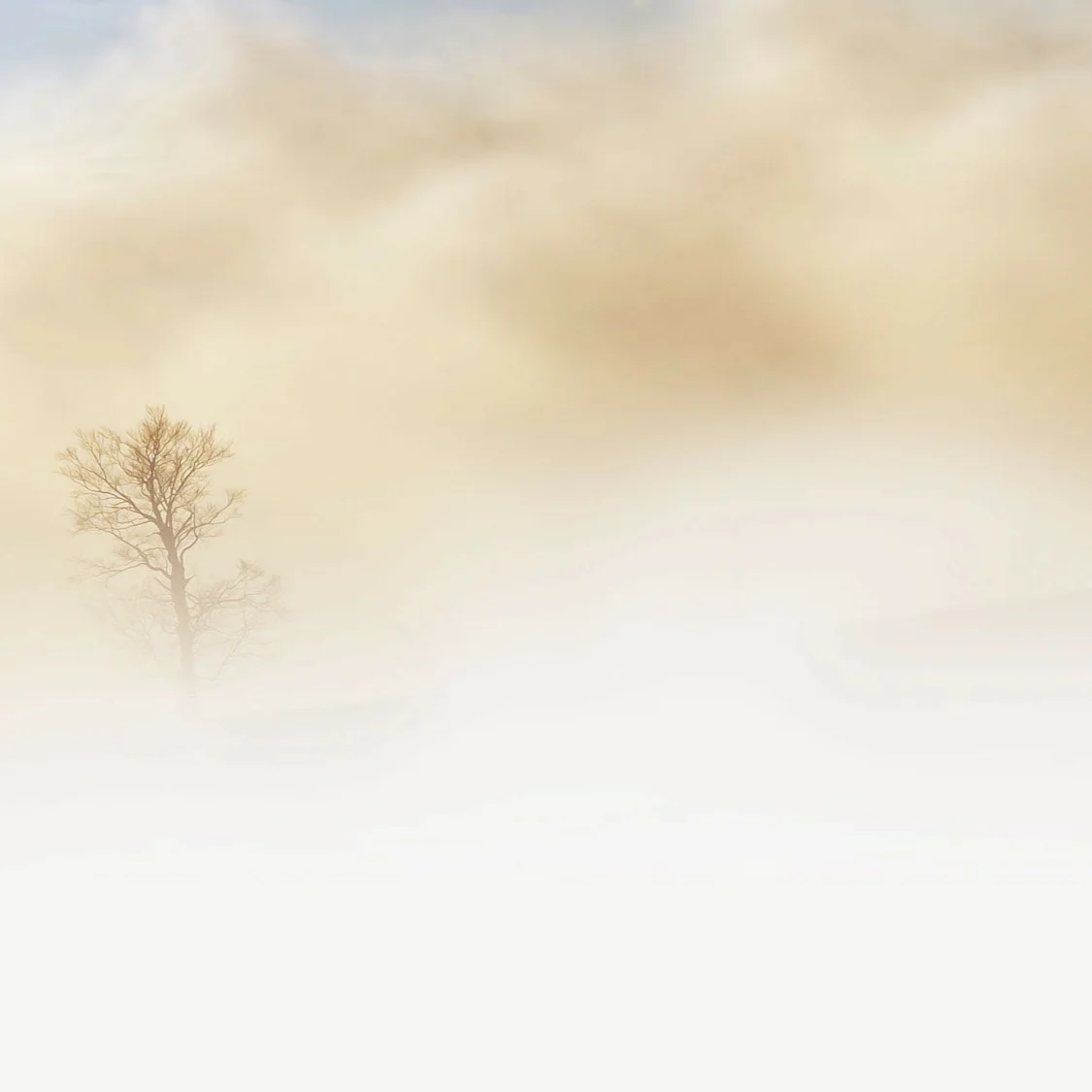 fog-240075_1920.jpg