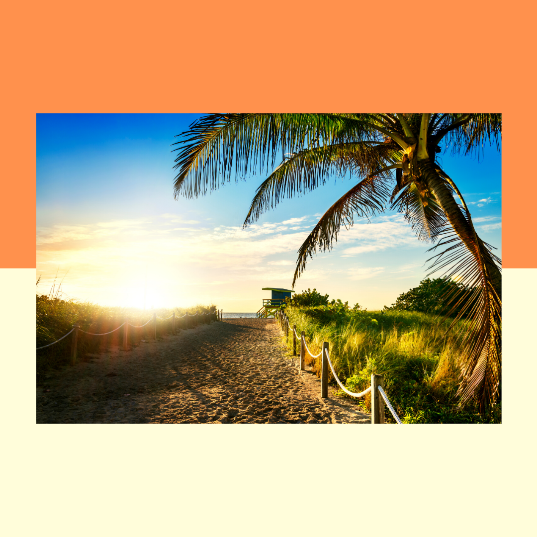 Sweet Reunions and New Friends