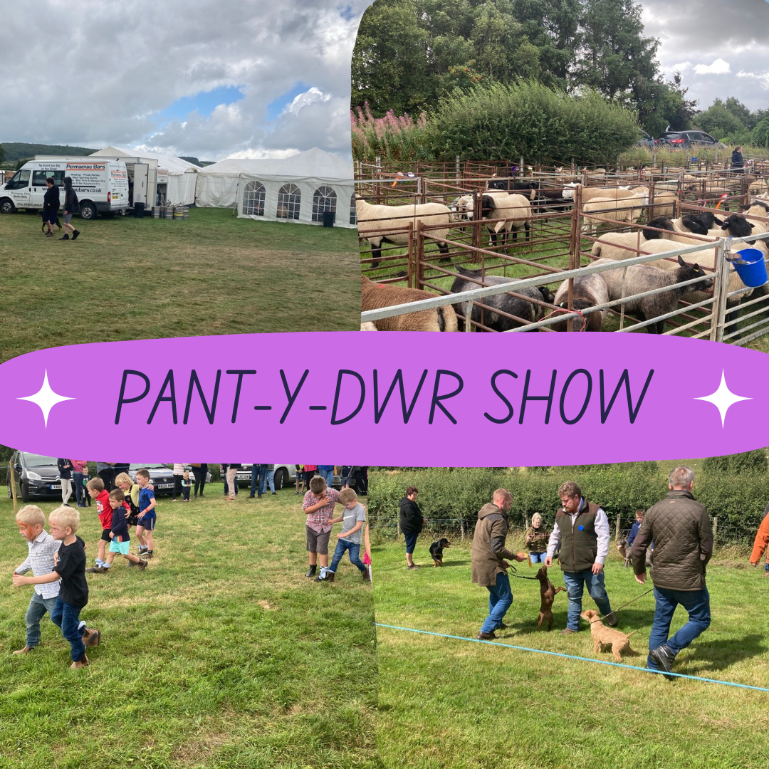 The Pant-y-dwr Show